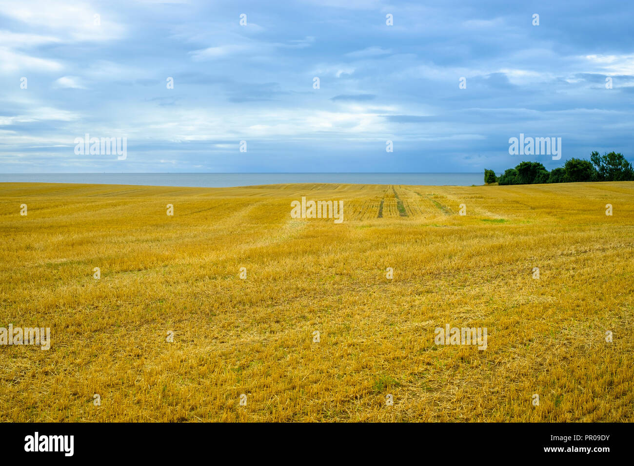 Ländlichen Raum Landschaft und Ostsee in mystisches Licht, Moen Island, Dänemark, Skandinavien, Europa. Stockfoto