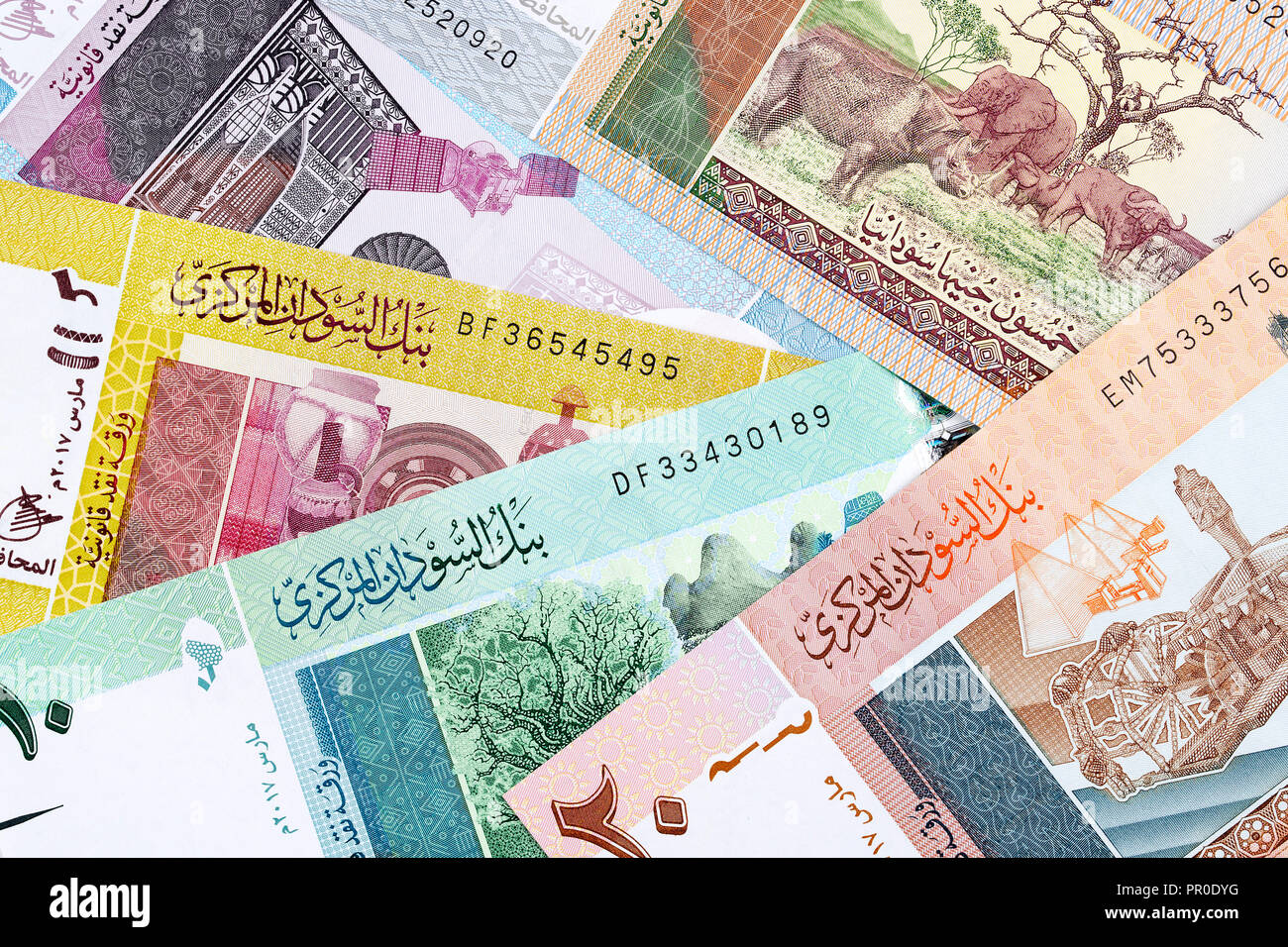 Geld aus dem Sudan, dem geschäftlichen Hintergrund Stockfoto