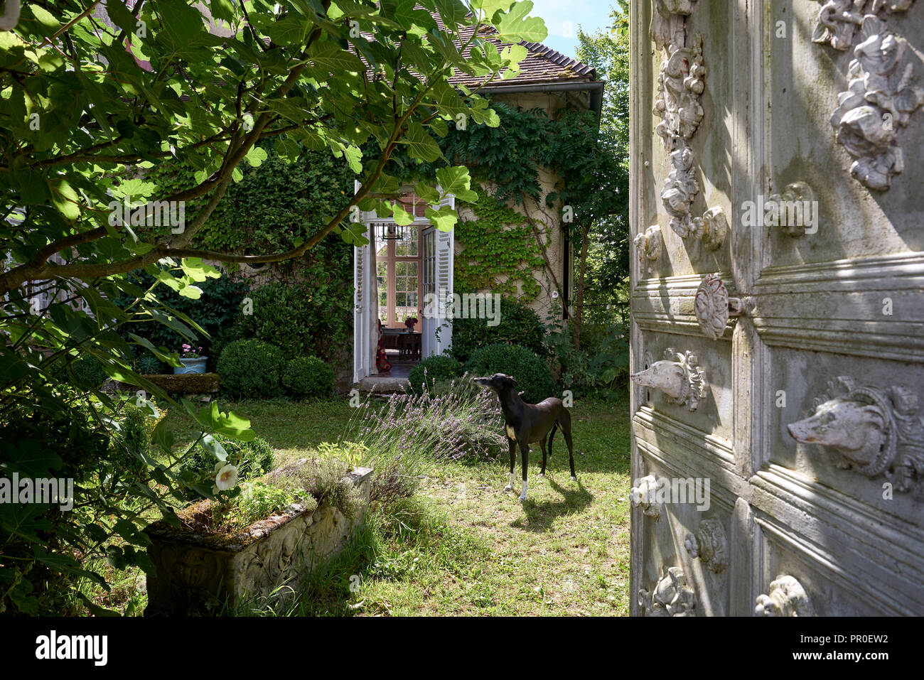 Alte dekorative Tür im Garten mit Blick in French House Stockfoto