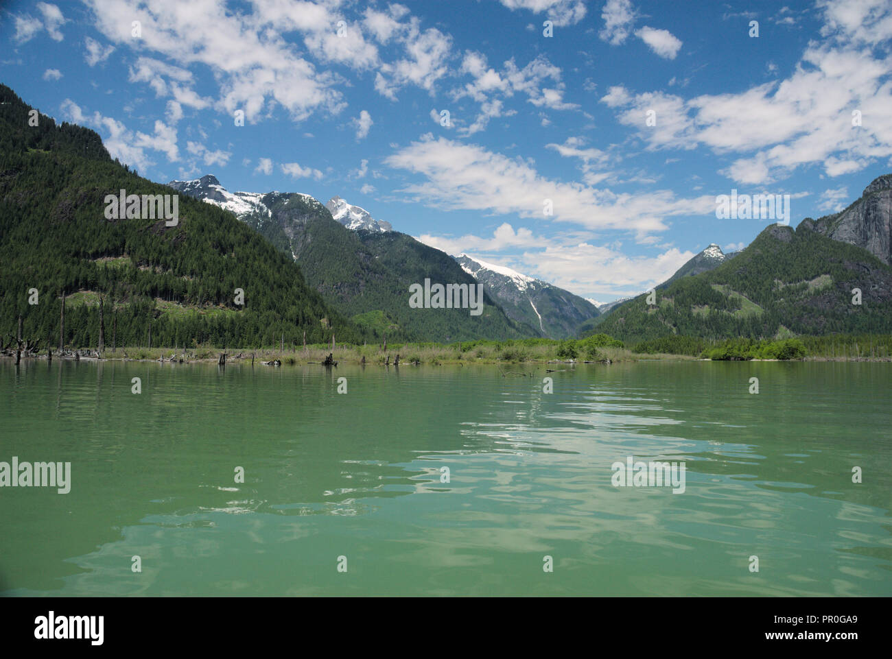 Reflexionen am Stave Lake in Mission, British Columbia, Kanada Stockfoto