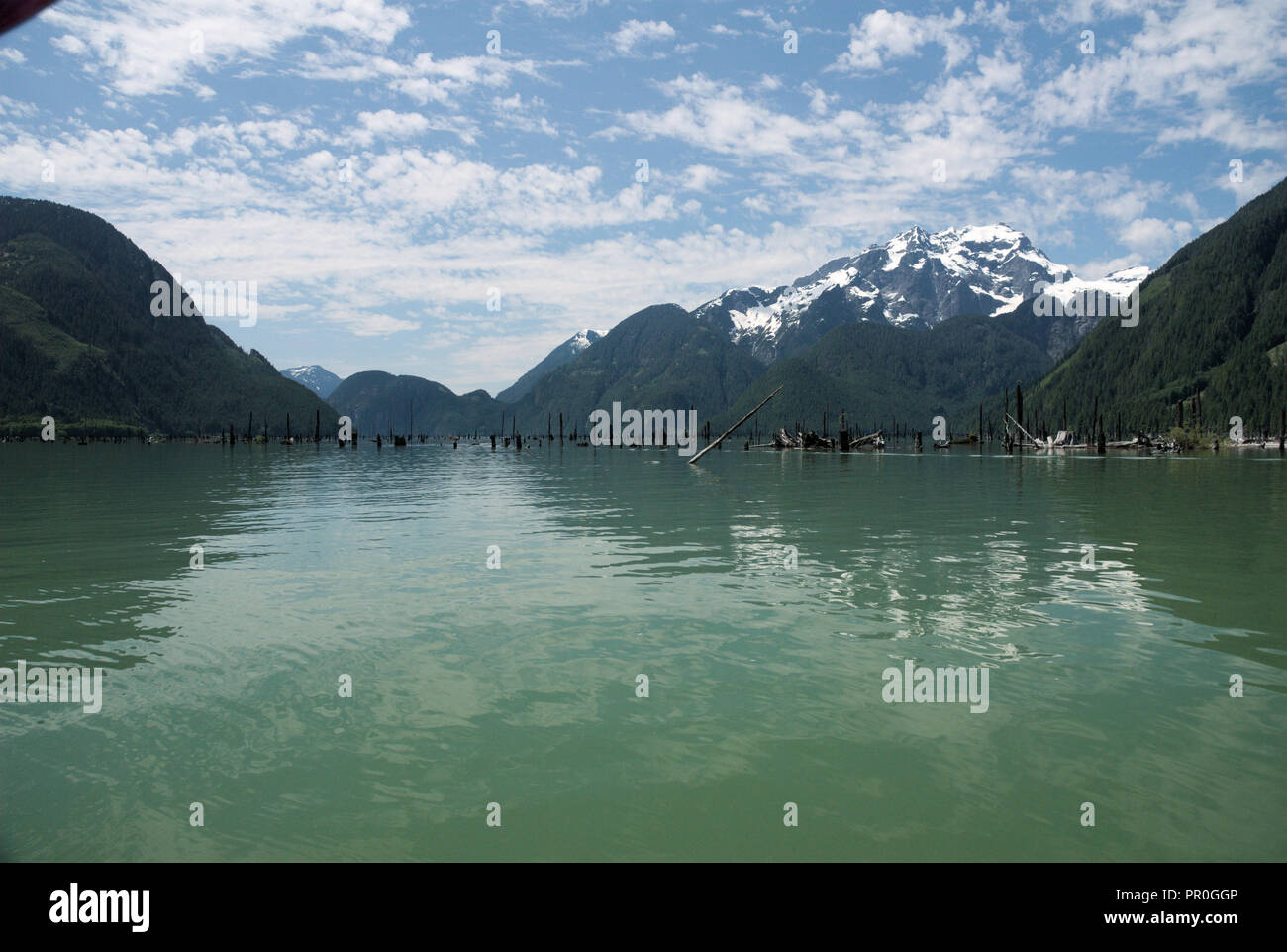 Reflexionen am Stave Lake in Mission, British Columbia, Kanada Stockfoto