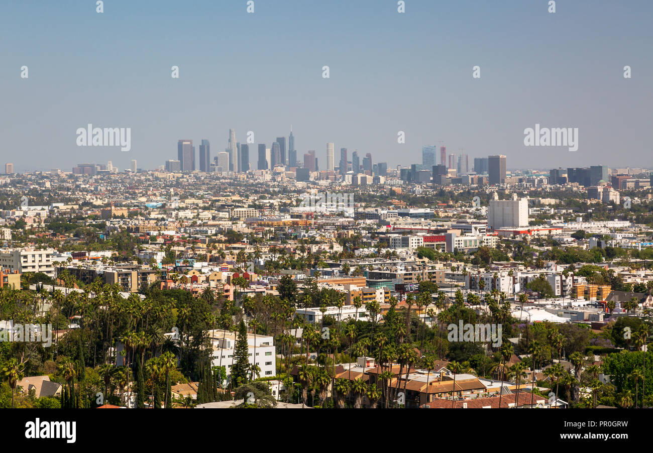 Blick auf die Skyline der Innenstadt von Hollywood Hills, Los Angeles, Kalifornien, Vereinigte Staaten von Amerika, Nordamerika Stockfoto
