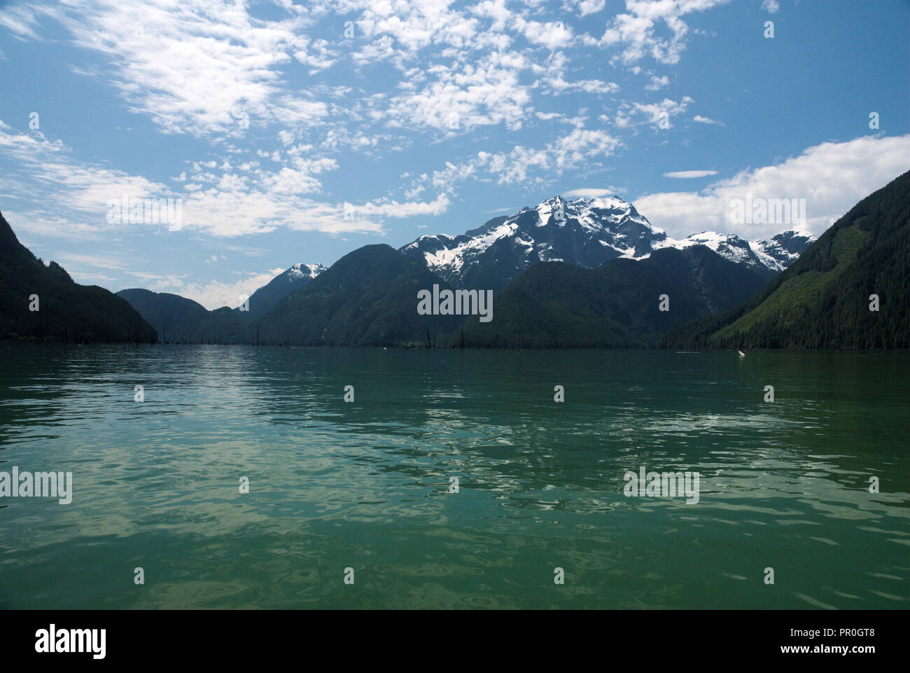 Reflexionen am Stave Lake in Mission, British Columbia, Kanada Stockfoto