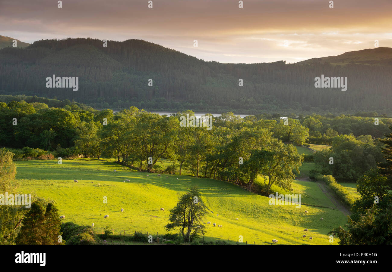 Ansicht mit Bassenthwaite See in Distanz, Lake District National Park, UNESCO-Weltkulturerbe, Cumbria, England, Vereinigtes Königreich, Europa Stockfoto