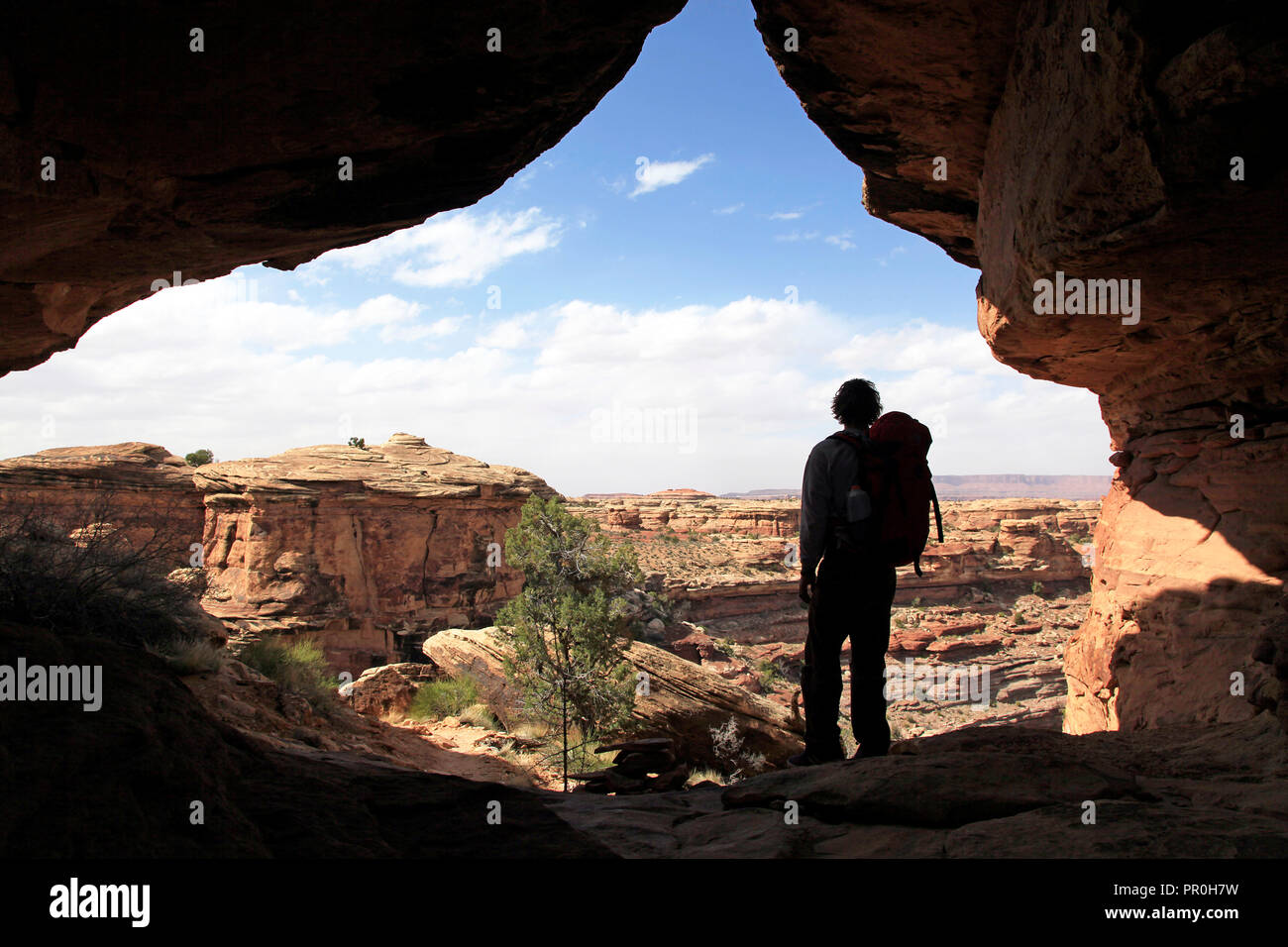 Einsamer Wanderer im Canyonlands, Utah, Vereinigte Staaten von Amerika, Nordamerika Stockfoto