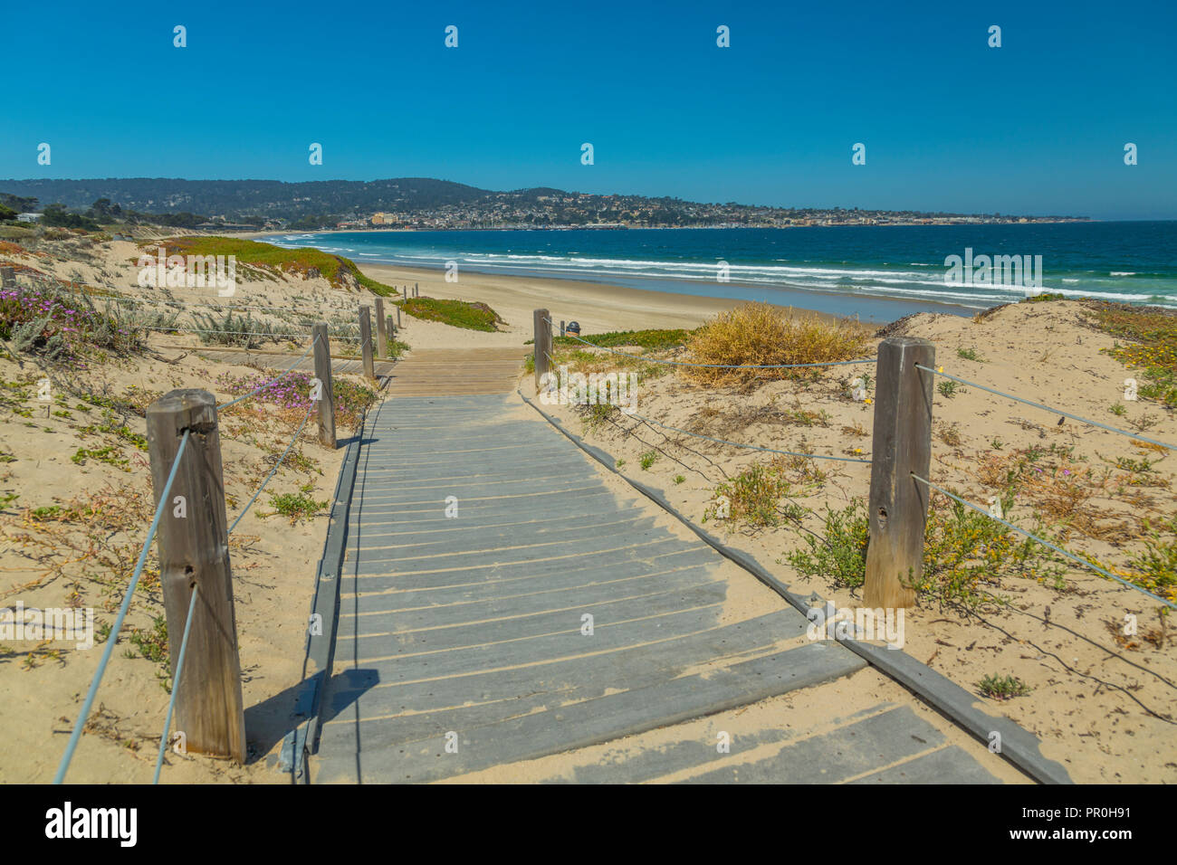 Weg zum Strand, Monterey Bay, Halbinsel, Monterey, Pazifischer Ozean, Kalifornien, Vereinigte Staaten von Amerika, Nordamerika Stockfoto