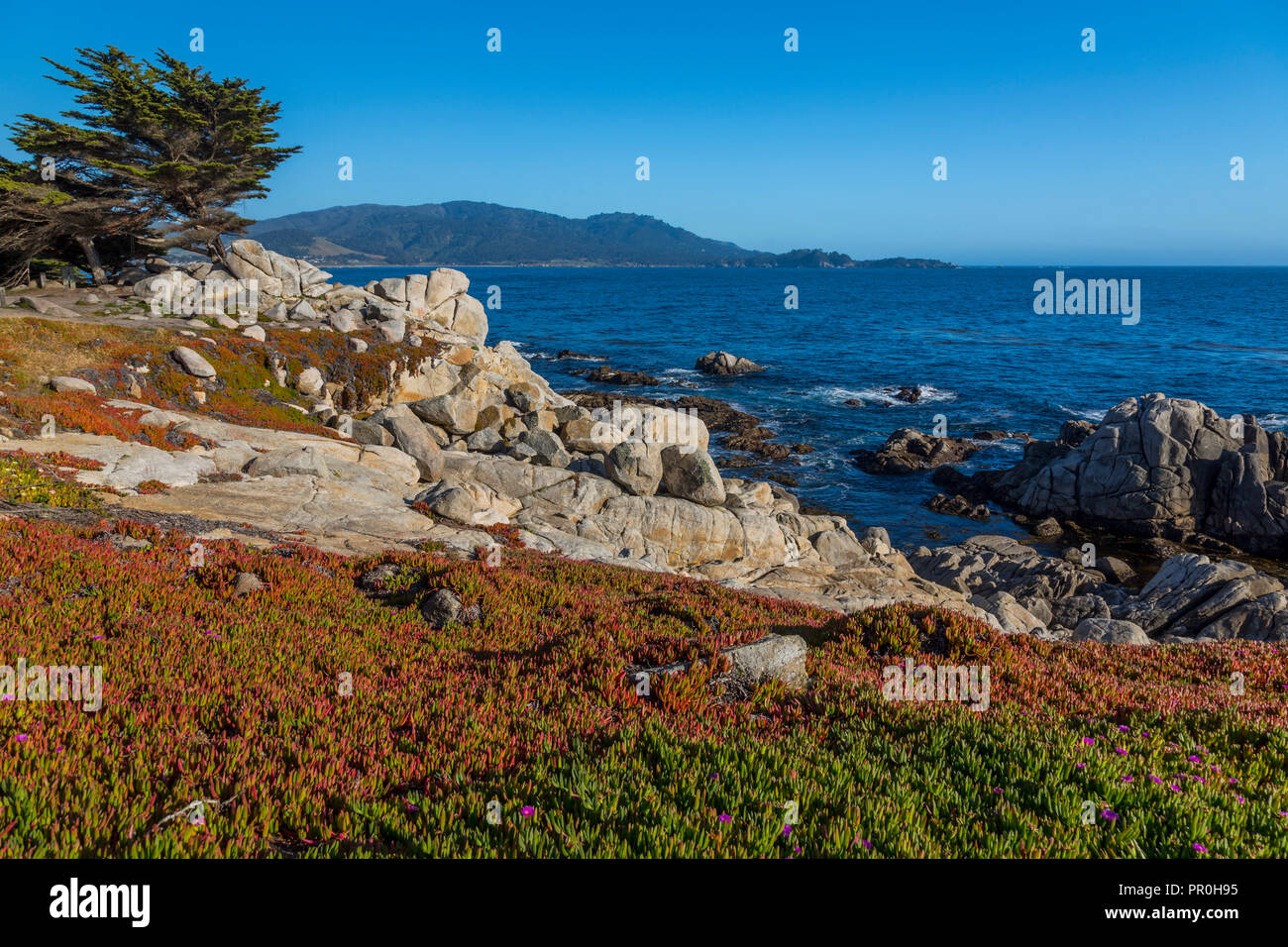 Blick auf die Bay und felsigen Küstenlinie in Pebble Beach, 17 Kilometer Fahrt, Halbinsel, Monterey, Kalifornien, Vereinigte Staaten von Amerika, Nordamerika Stockfoto