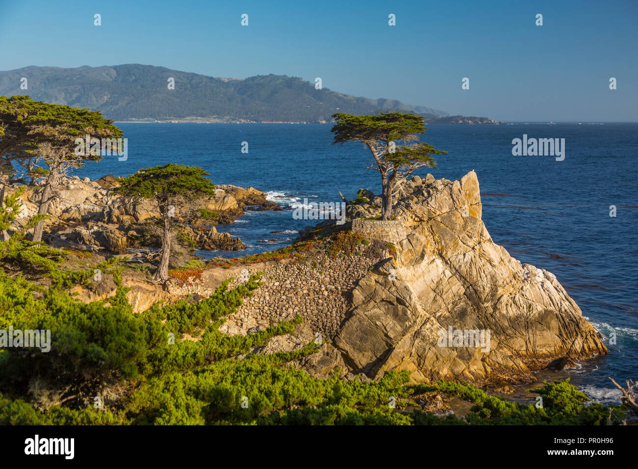 Blick auf die Bay und Lone Cypress am Kiesel Strand, 17 Kilometer Fahrt, Halbinsel, Monterey, Kalifornien, Vereinigte Staaten von Amerika, Nordamerika Stockfoto