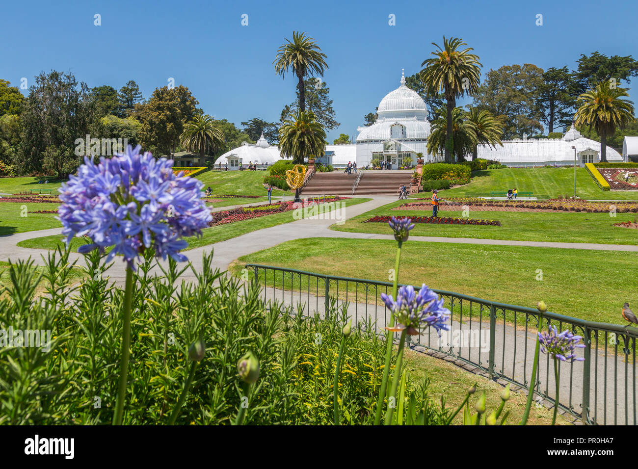 Conservatory of Flowers, Golden Gate Park, San Francisco, Kalifornien, Vereinigte Staaten von Amerika, Nordamerika Stockfoto