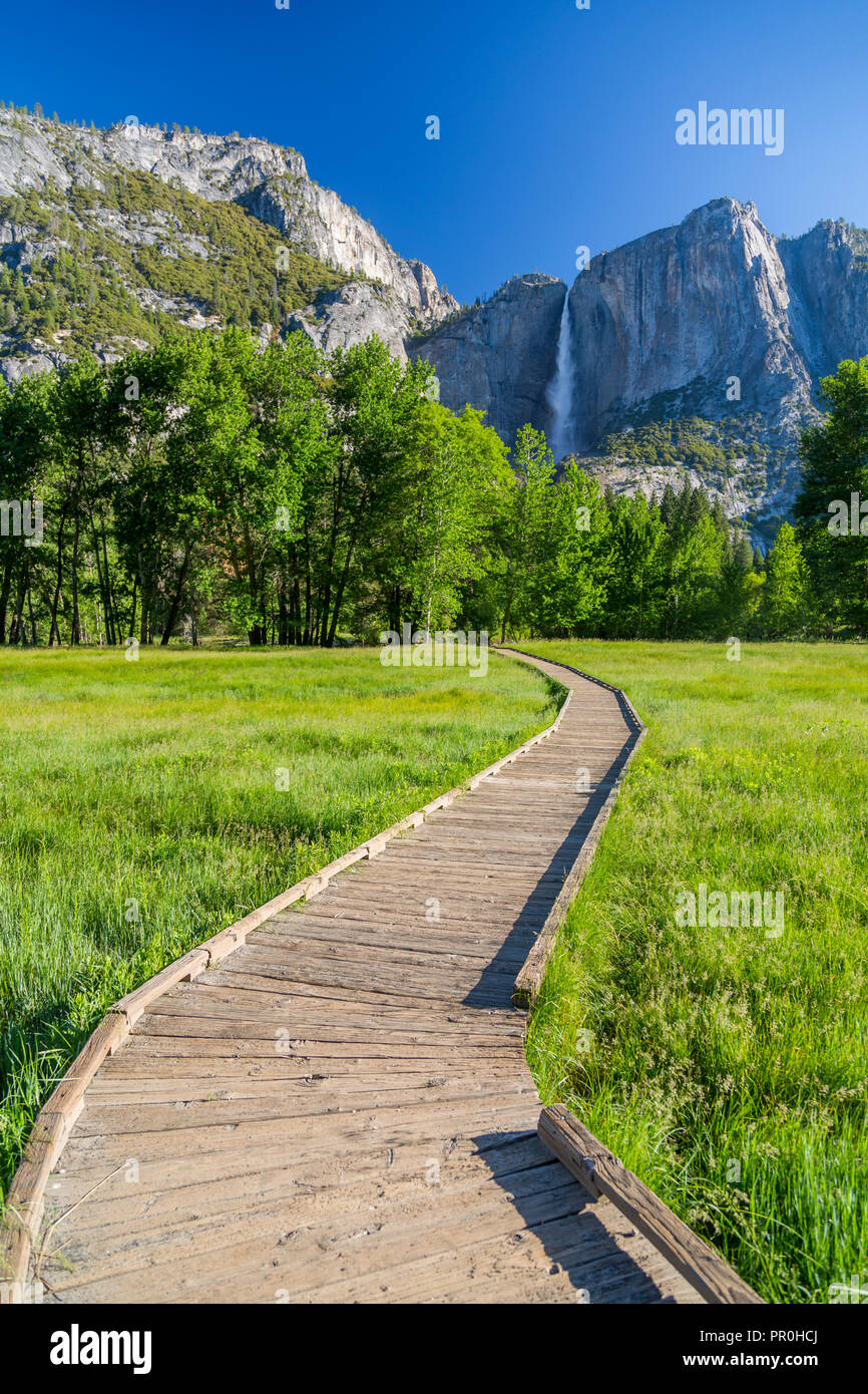 Ansicht der Köche Wiese und Oberen Yosemite Falls, Yosemite Nationalpark, UNESCO-Weltkulturerbe, Kalifornien, Vereinigte Staaten von Amerika, Nordamerika Stockfoto