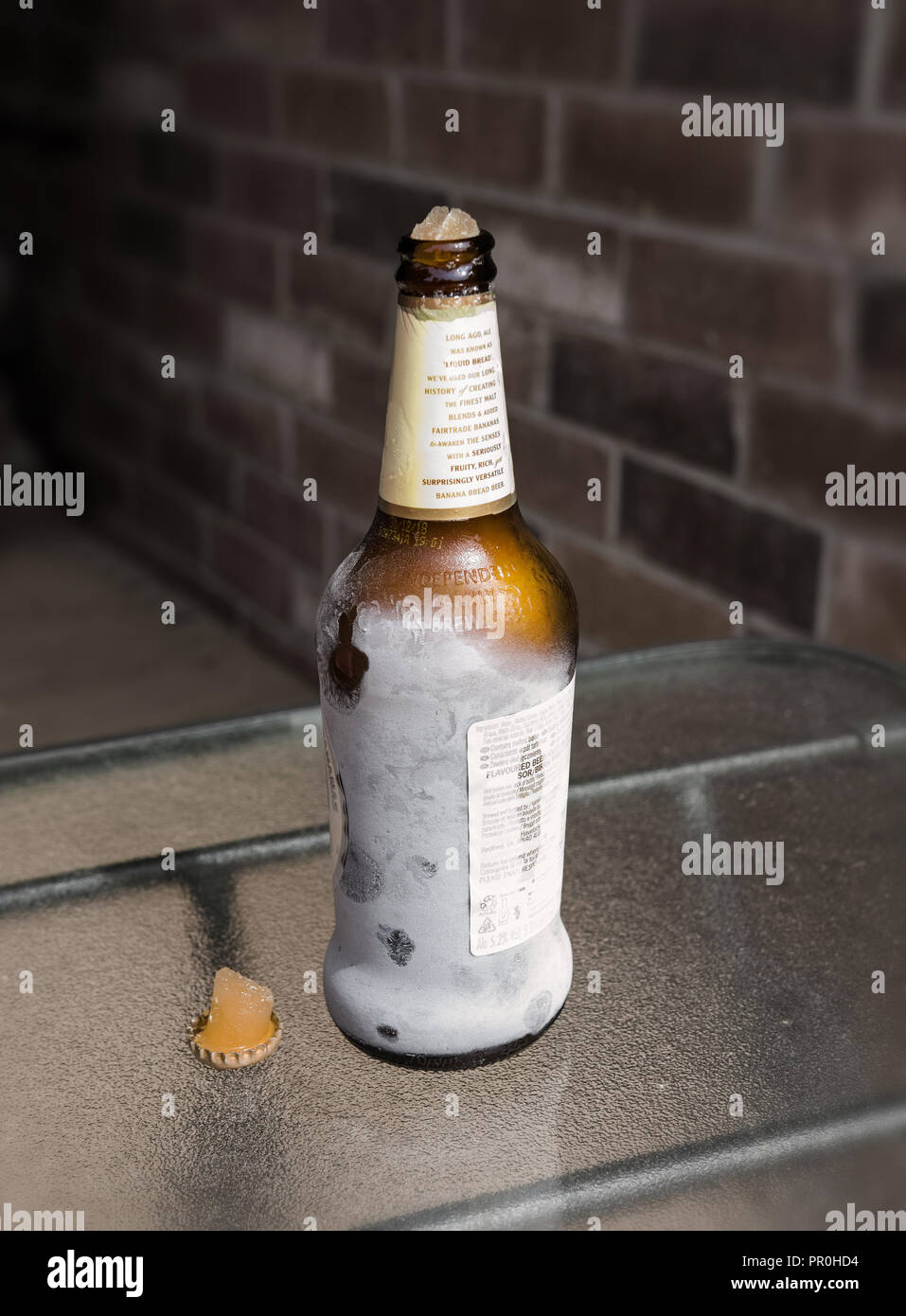 Eine Flasche Bier im Kühlschrank vergessen, die Kappe aus geknallt hat. Stockfoto