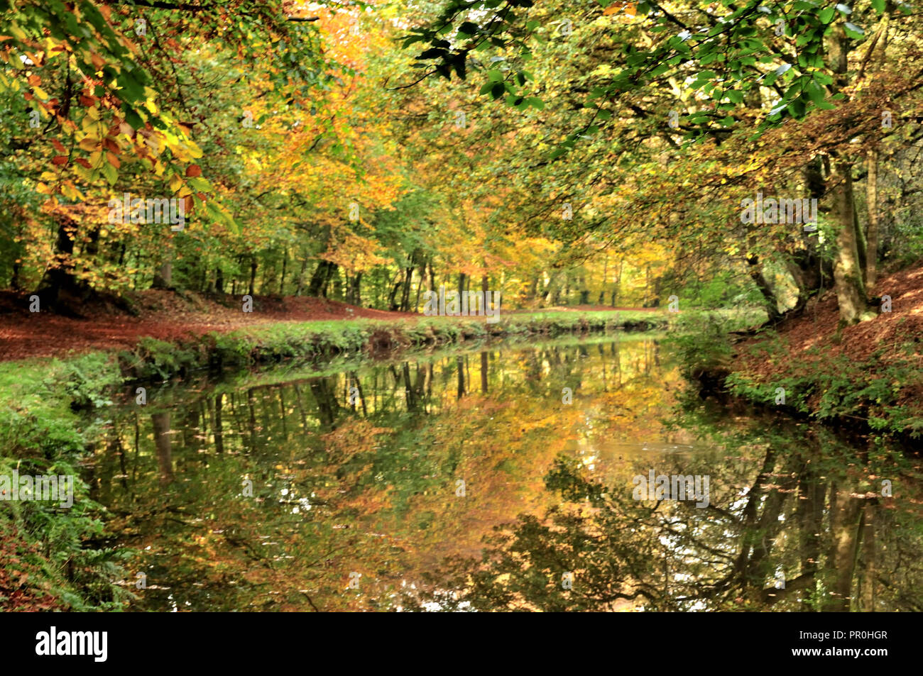 Rund um Großbritannien - Herbstreflexionen über den Leeds Liverpool Canal Stockfoto