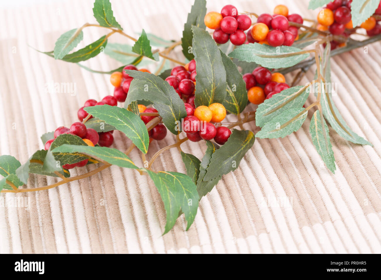 Fabric Pflanzen mit Beeren auf Hintergrund Tuch. Stockfoto