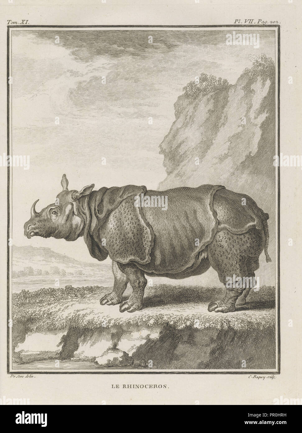 Le, Nashörner, Histoire Naturelle générale et particulière: Avec la Beschreibung du Cabinet de Roi, Buffon, Georges Louis Stockfoto