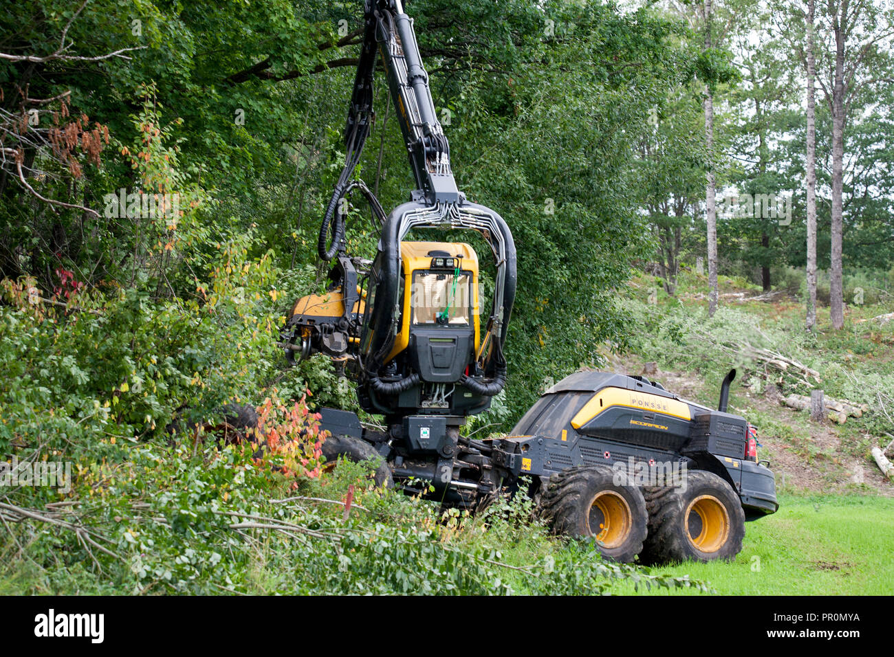 forestry-harvester-fotos-und-bildmaterial-in-hoher-aufl-sung-alamy