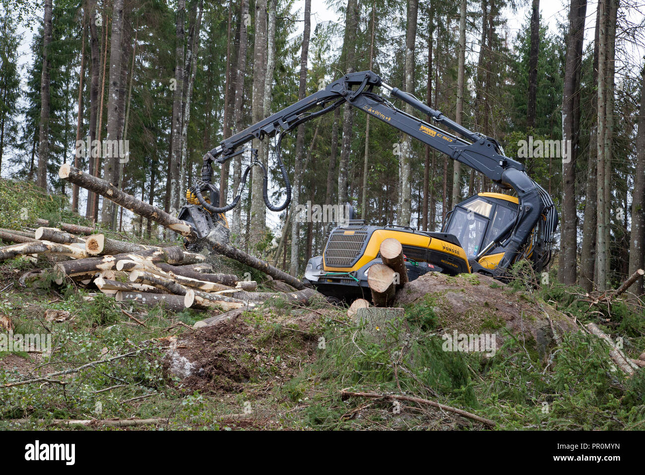 Feldhäcksler Forstwirtschaft, Forstwirtschaft Fahrzeug arbeitet im Wald mit der Kahlschlag ein Bereich Stockfoto