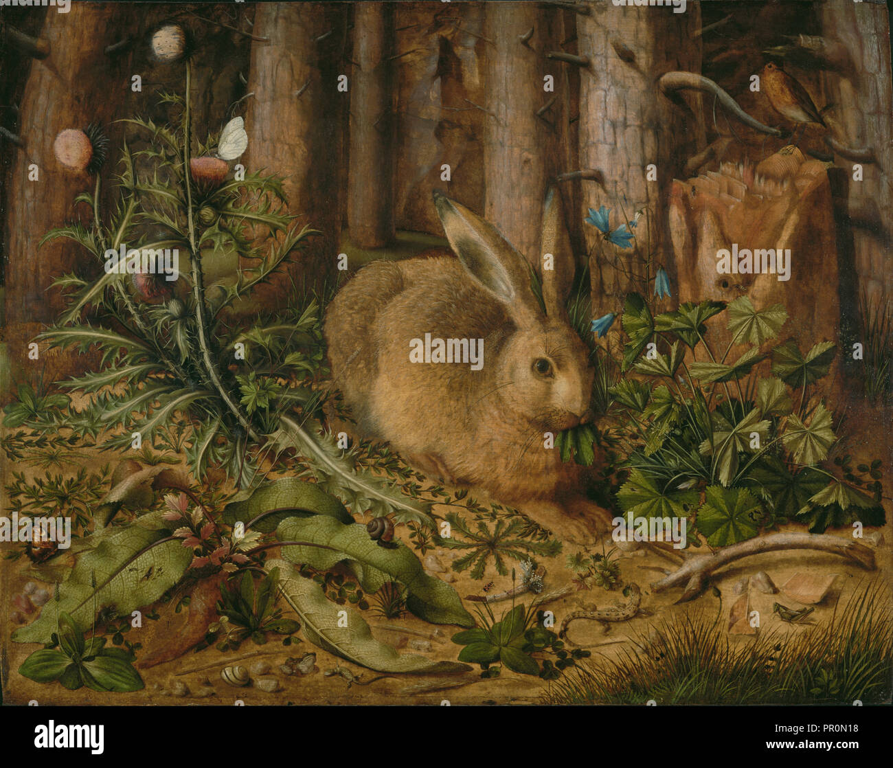 Ein Hase in den Wald; Hans Hoffmann, Deutsch, um 1530-1591,1592, 1585; Öl auf Leinwand, 62,2 × 78,4 cm Stockfoto