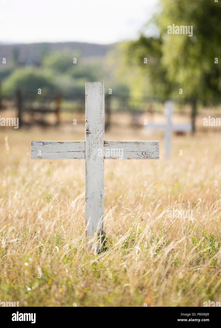 Alte hölzerne Kreuz in einem historischen Friedhof mit schönen Rasen & Baum gefüllt Hintergründe in einer ruhigen Umgebung Stockfoto