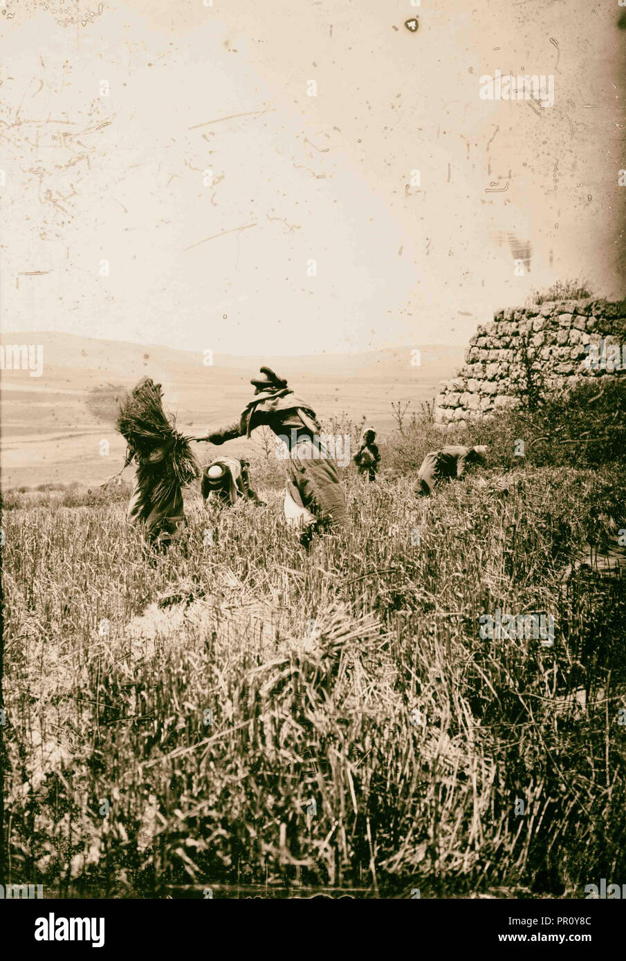 Northern Blick Ruinen in Dothan. 1900, West Bank, Dothan Stockfoto