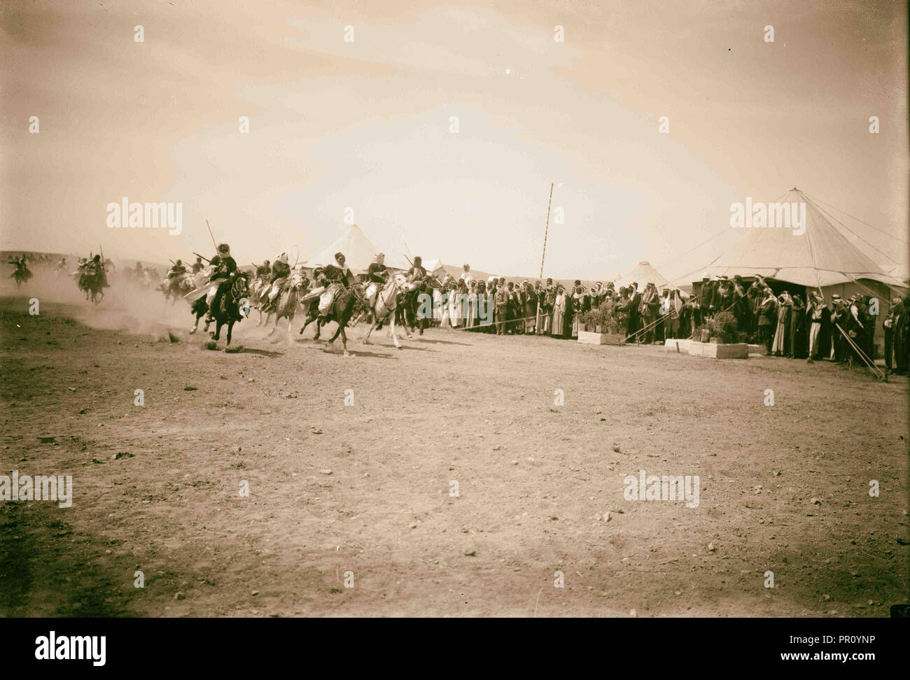 Beduinische Hochzeit Serie. Montiert Beduinen Racing. 1921, Jordanien Stockfoto