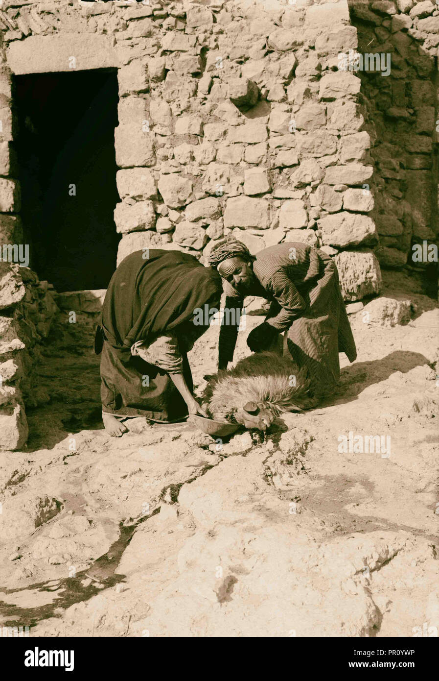 Weli von Budrieh an Sherafat und die Vorbereitung eines Opfers sammeln das Blut zu rituellen Zwecken. 1900, West Bank Stockfoto