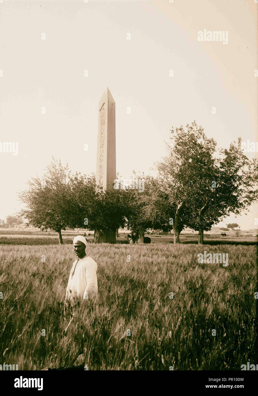 Ägyptische Ansichten; Heliopolis (Matariyeh). Der Obelisk in Heliopolis. 1900, Ägypten, Heliopolis, ausgestorbene Stadt Stockfoto