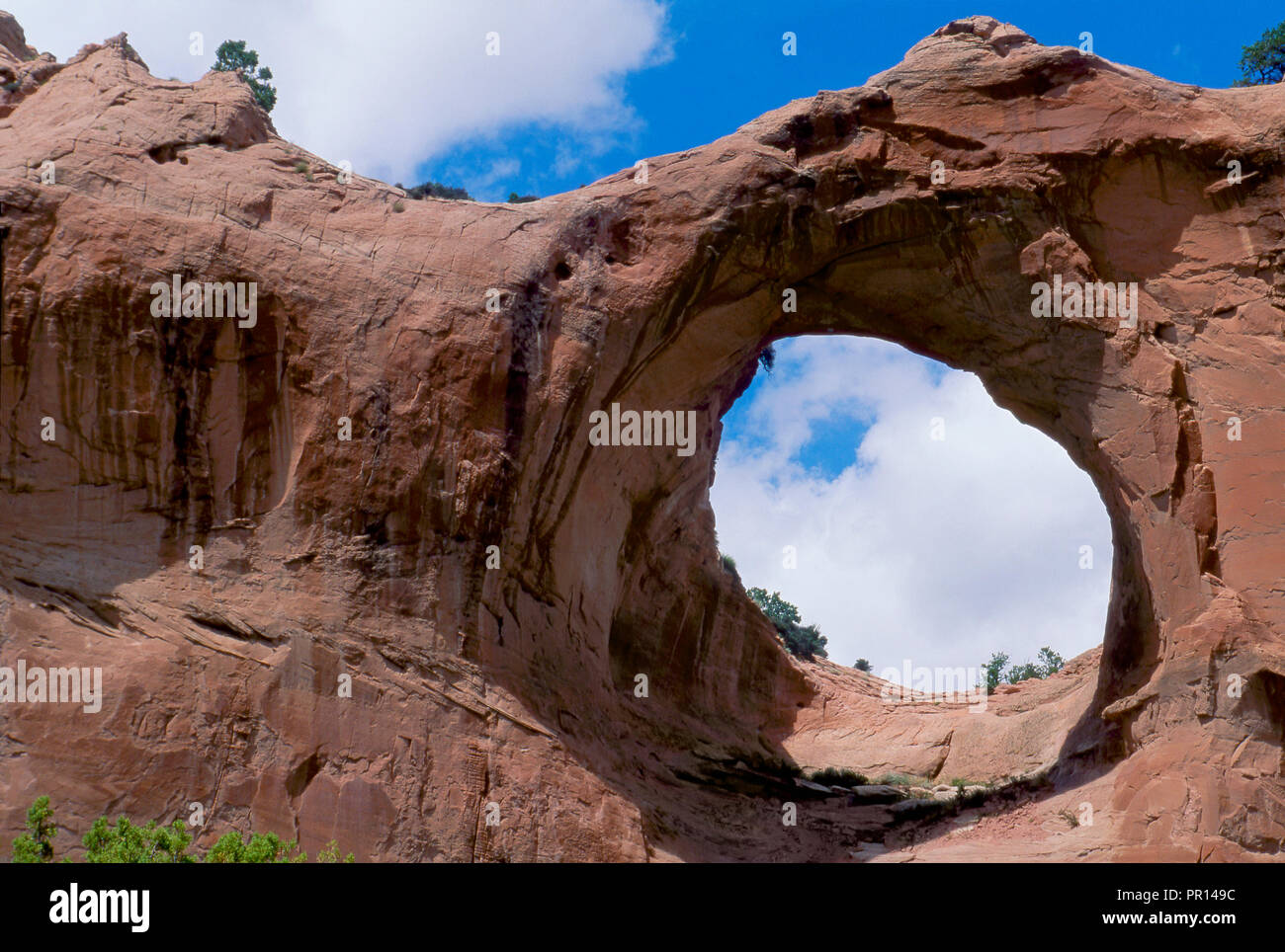 Natural Arch von Window Rock, Arizona, Navajo Nation Wahrzeichen. Foto Stockfoto
