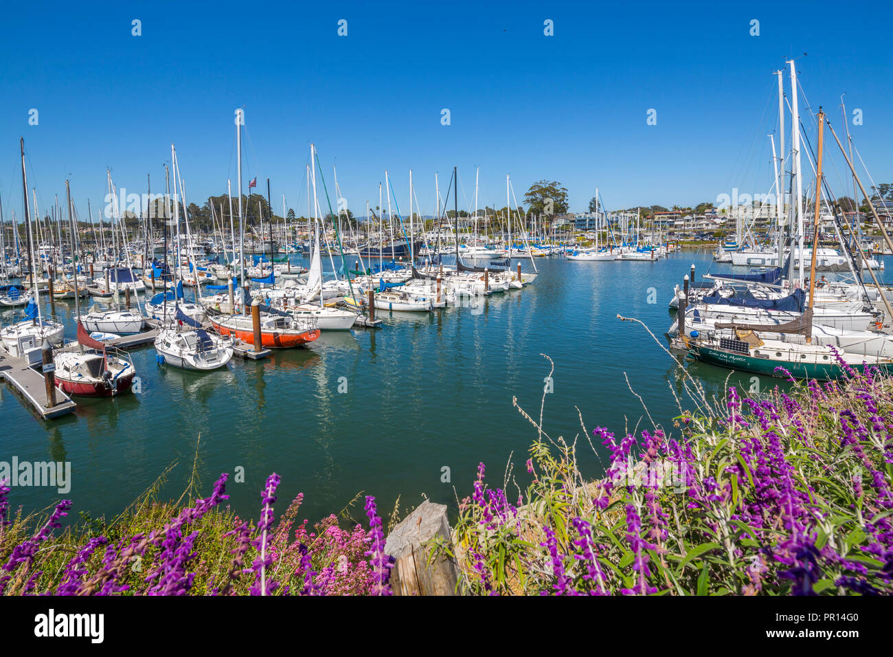 Blick auf Yachten in Santa Cruz Yacht Club, Santa Cruz, Kalifornien, Vereinigte Staaten von Amerika, Nordamerika Stockfoto