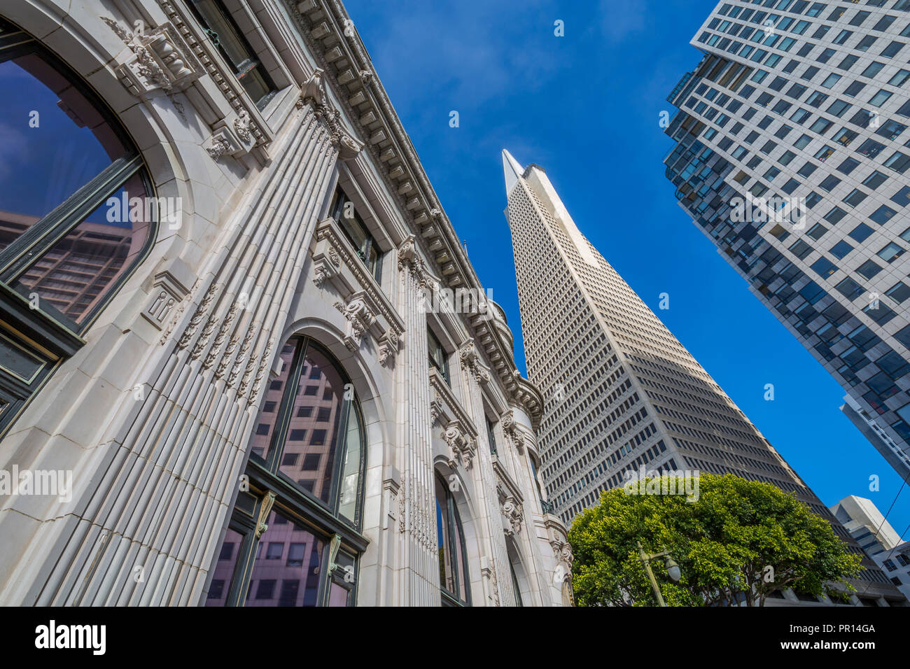 Ansicht der Transamerica Pyramid Gebäude im Finanzdistrikt von Downtown, San Francisco, Kalifornien, Vereinigte Staaten von Amerika, Nordamerika Stockfoto