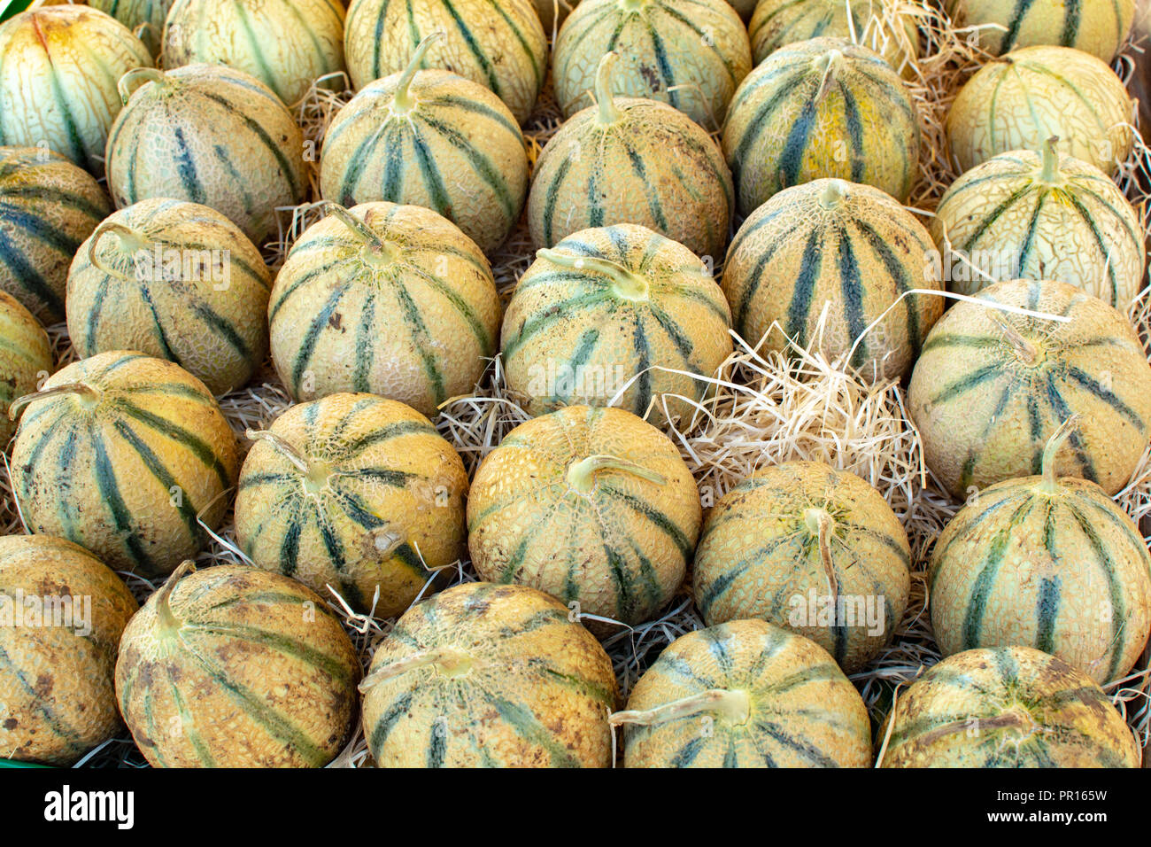 Melonen aus Cavaillon, reife Runde charentais Honig melone Melonen auf dem lokalen Markt in der Provence, Frankreich, in der Nähe Stockfoto