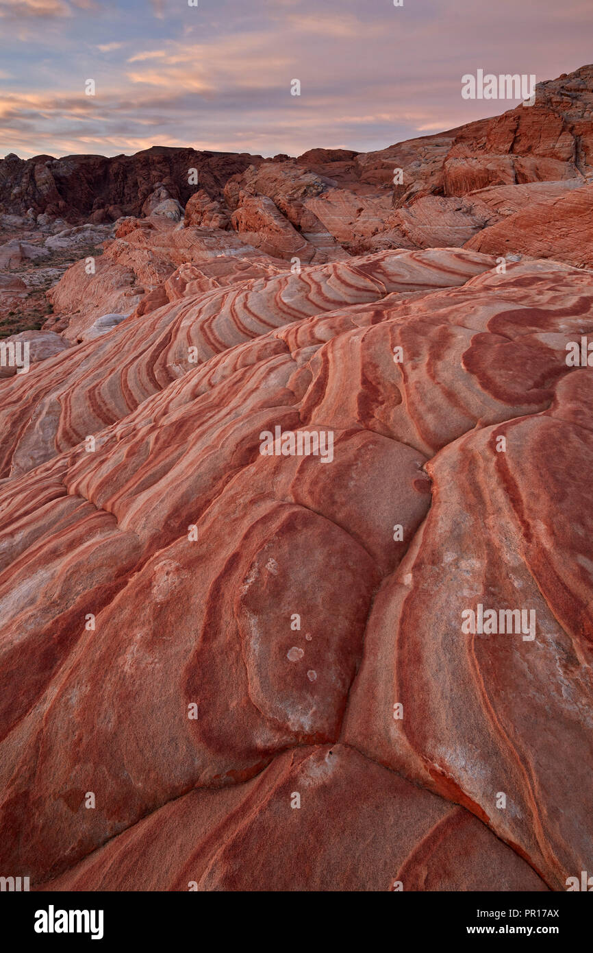 Sandstein Formen in der Morgendämmerung, Valley of Fire State Park, Nevada, Vereinigte Staaten von Amerika, Nordamerika Stockfoto