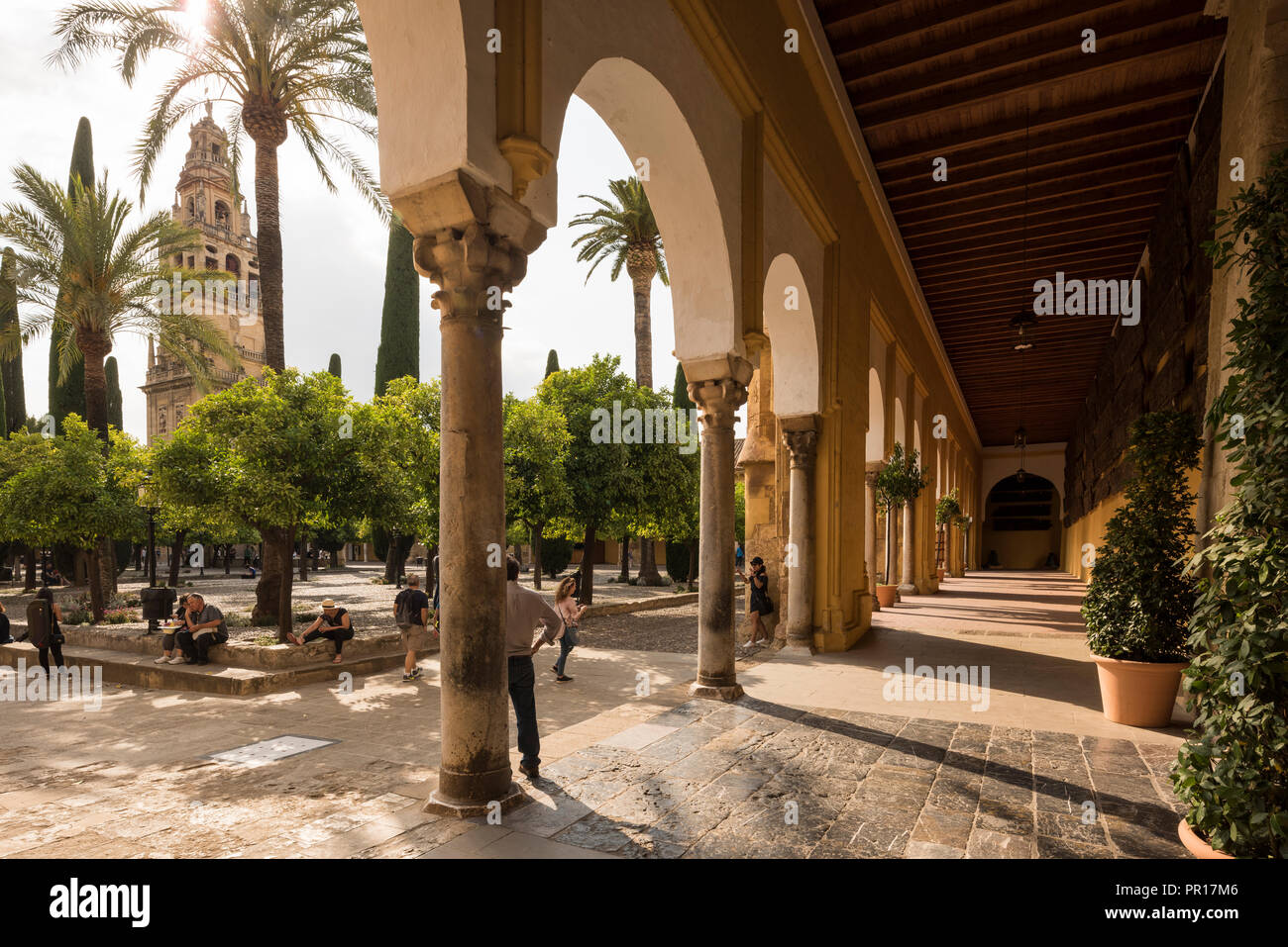 Die Große Moschee (Kathedrale Unserer Lieben Frau von der Himmelfahrt) (Mezquita) von Córdoba, UNESCO-Weltkulturerbe, Cordoba, Andalusien, Spanien, Europa Stockfoto