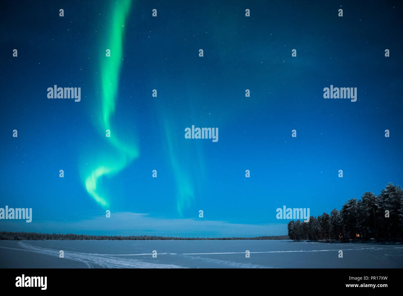 Aurora Borealis (Nordlicht), Pallas-Yllastunturi Nationalpark, Lappland, Finnland, Europa Stockfoto