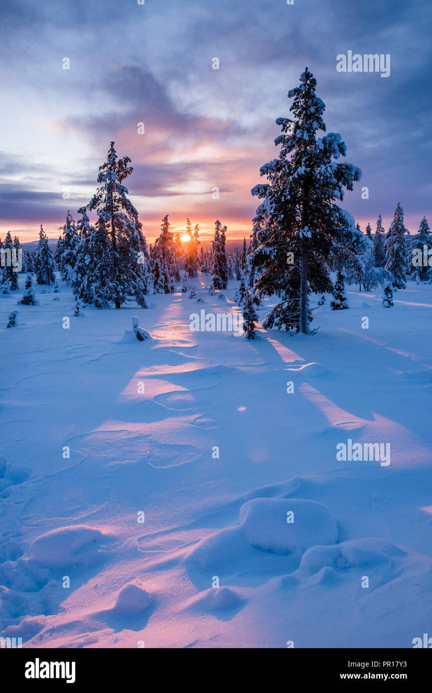 Verschneite Winterlandschaft bei Sonnenaufgang, Lappland, Pallas-Yllastunturi Nationalpark, Lappland, Finnland, Europa Stockfoto