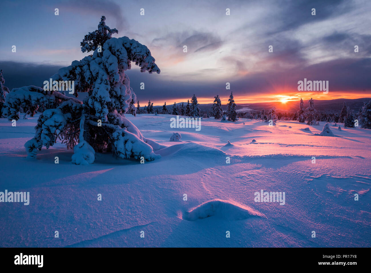 Verschneite Winterlandschaft bei Sonnenuntergang, Lappland, Pallas-Yllastunturi Nationalpark, Lappland, Finnland, Europa Stockfoto