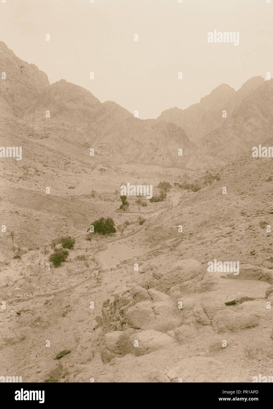 Zum Sinai, über das Rote Meer, Tor, und Wady Hebran. Wady Tl'aa. 1900, Ägypten, Sinai Stockfoto