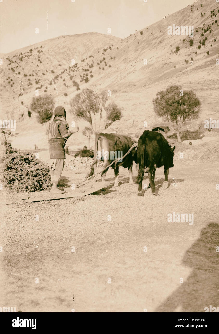 Zeichen und Industrie usw. Dreschen an Yammuneh. 1900, Libanon, Yammune Stockfoto