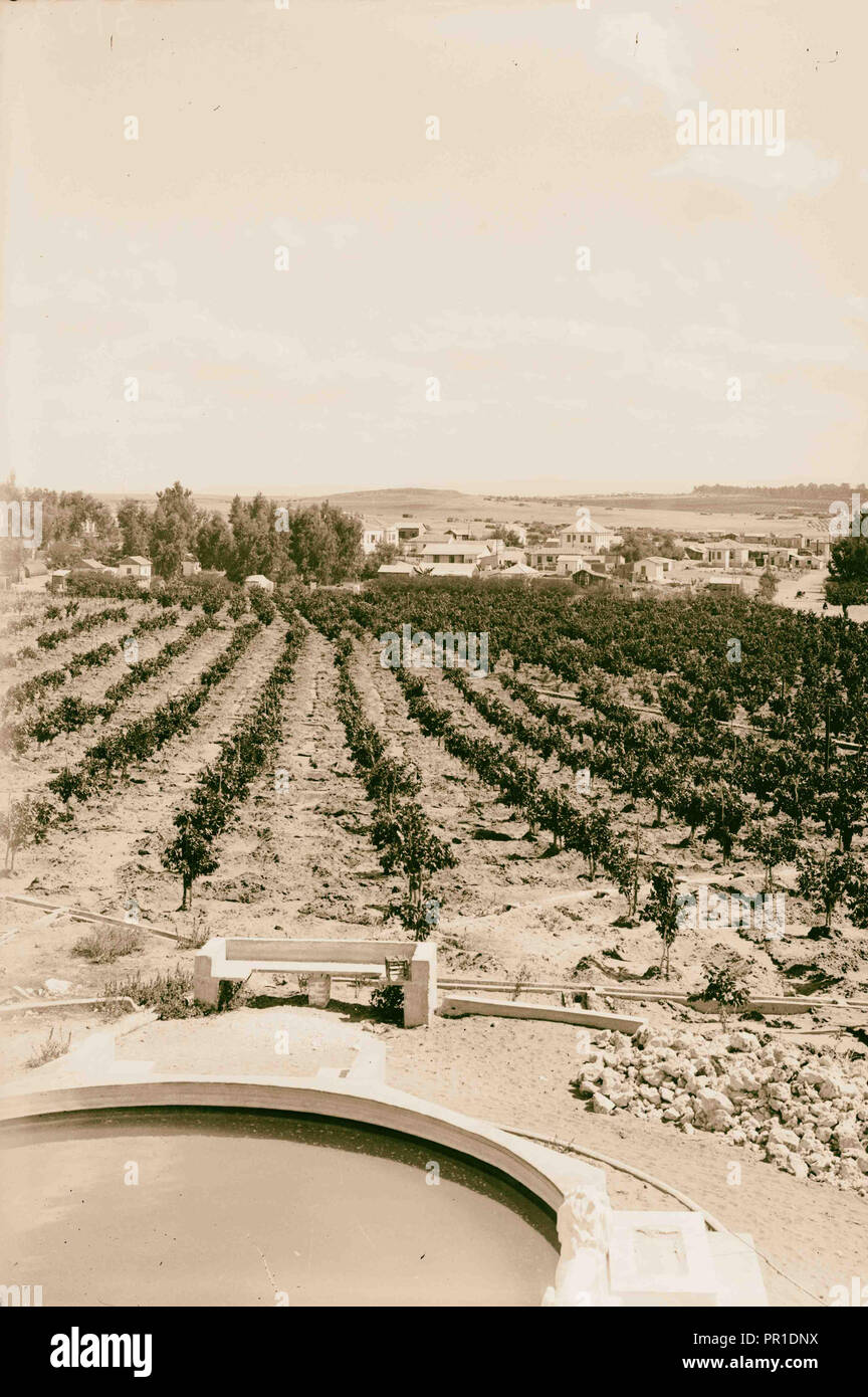 Zionistischen Kolonien auf Sharon. Borochov. Übersicht orange Kultur. 1920, Israel Stockfoto