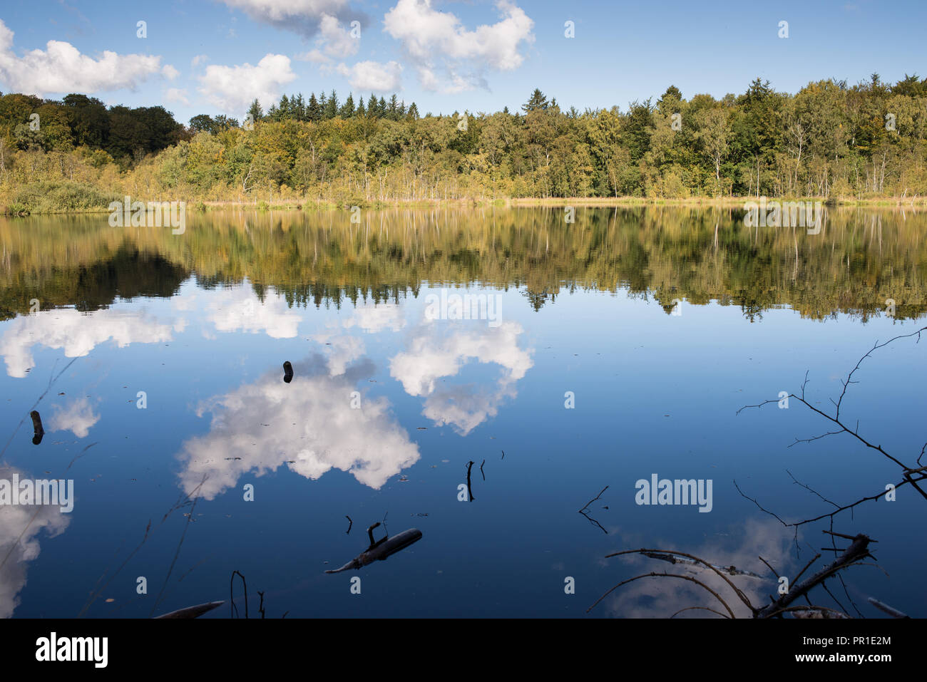 See in der Nähe von Bøllemosen Skodsborg in Dänemark im Herbst mit ruhigem Wasser und klarer Himmel Stockfoto