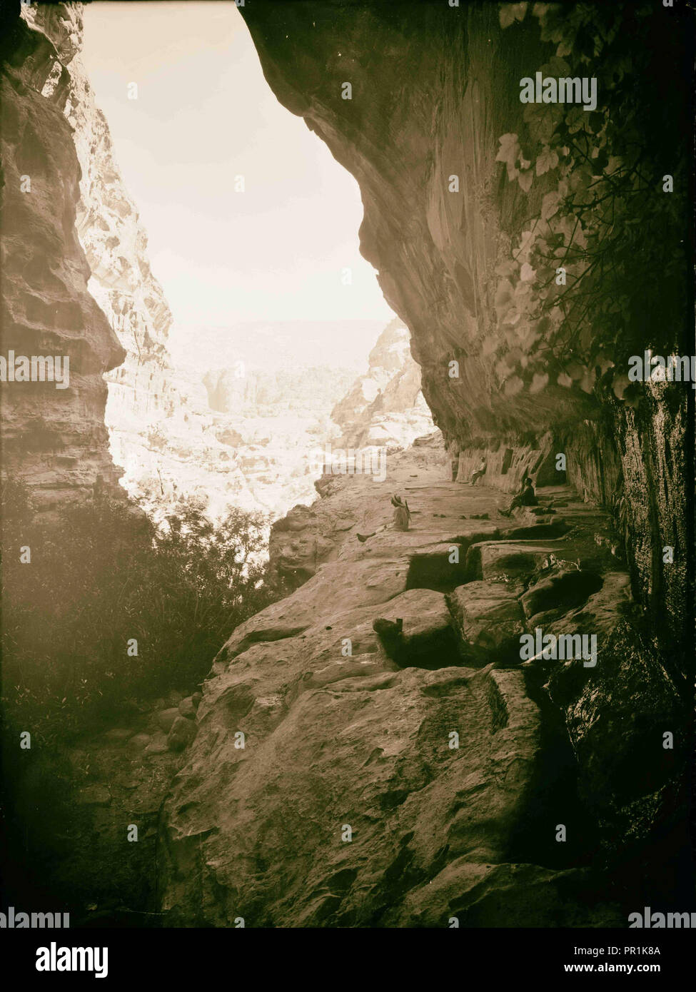 Wadi el hammam Fotos und Bildmaterial in hoher Auflösung Alamy