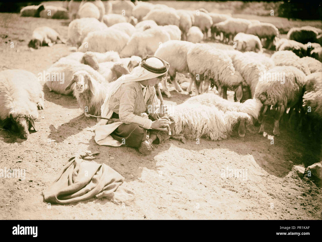 Hirte Rohrleitungen zu seinen Tieren. 1934, Naher Osten Stockfoto