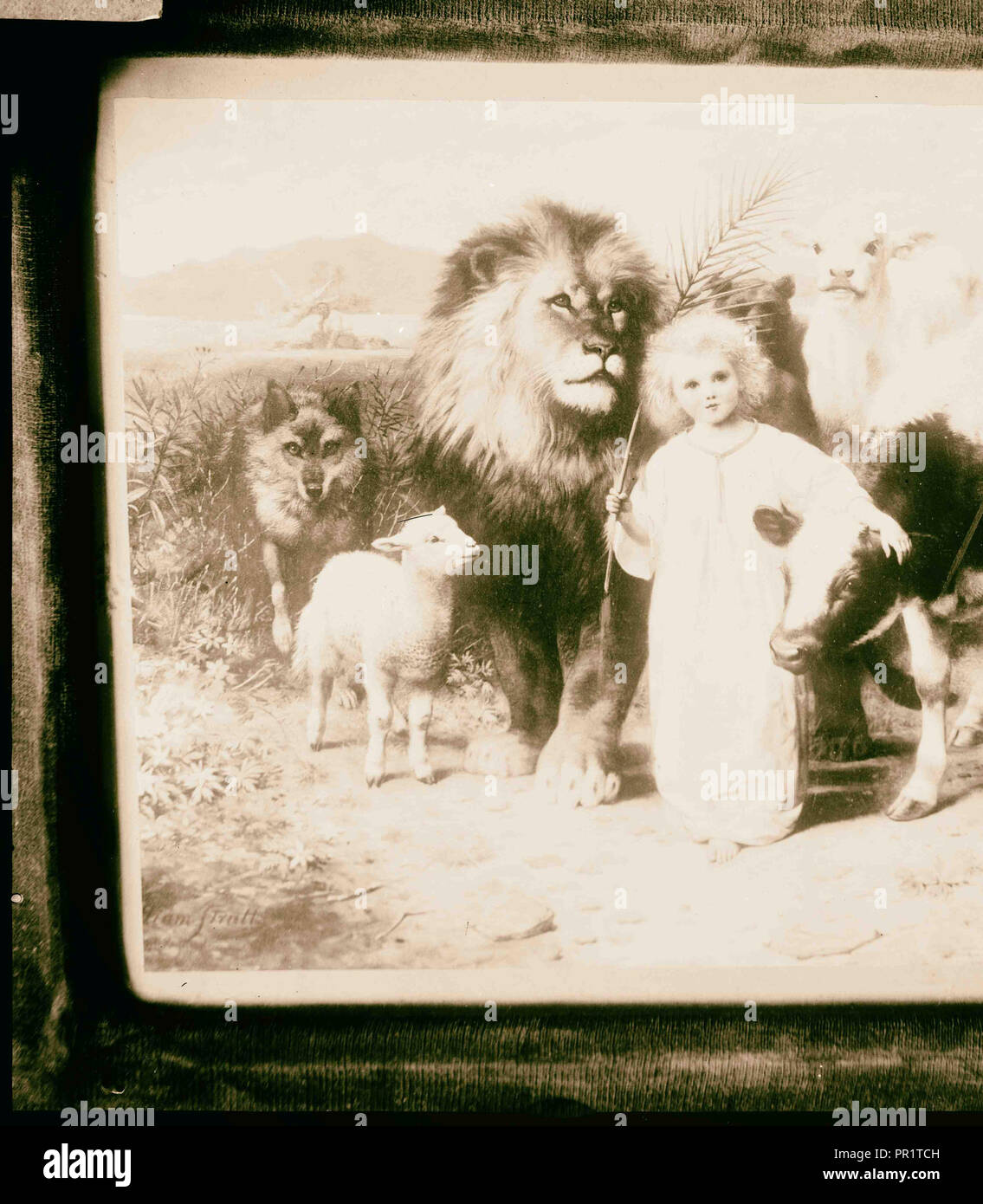 Kopieren der Malerei von jungen Jungen mit Löwen, Schafe und andere Tiere. 1898, Jerusalem, Israel Stockfoto