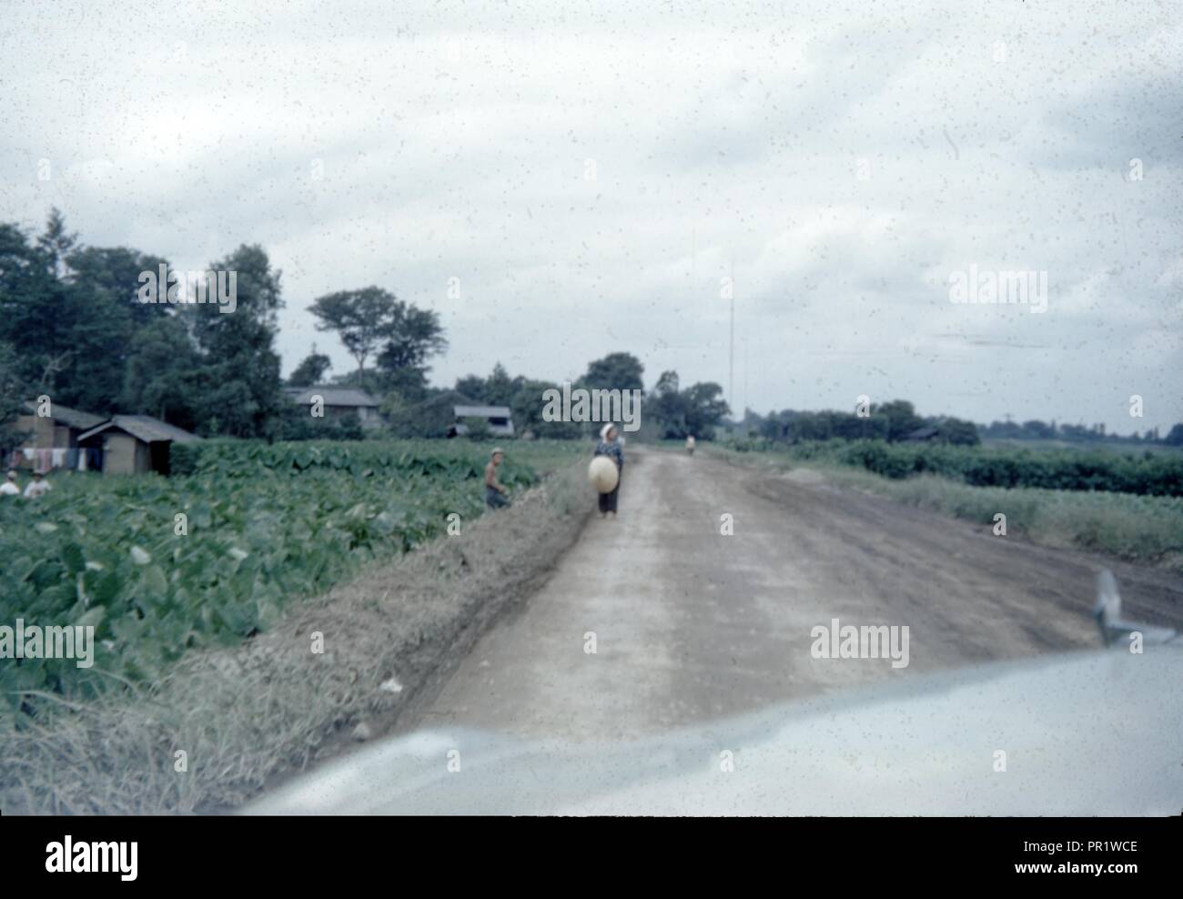 Jahrgang, authentische Archivierung Foto, 1965. () Stockfoto