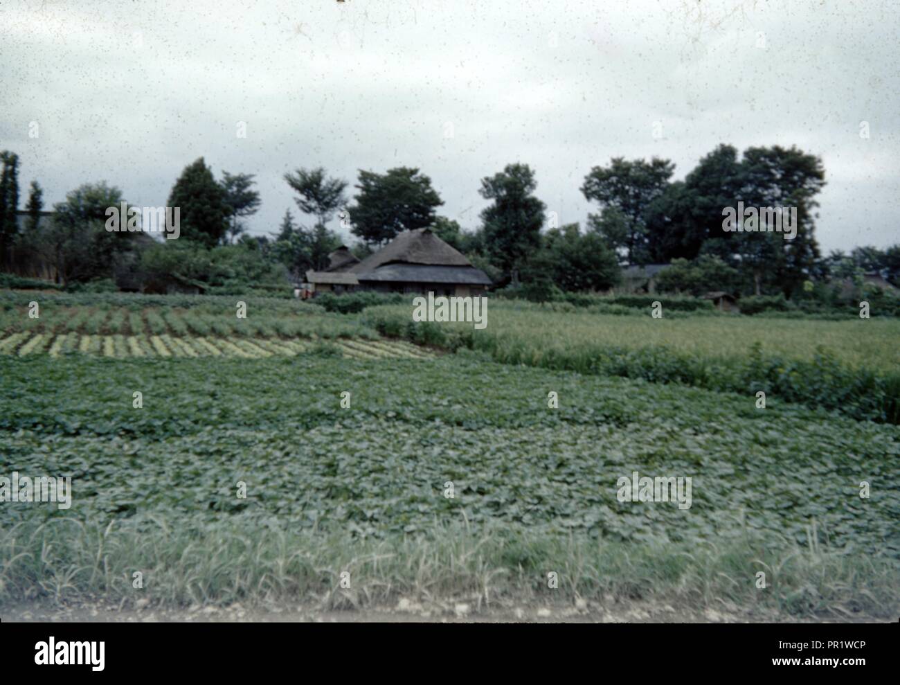 Jahrgang, authentische Archivierung Foto, 1965. () Stockfoto