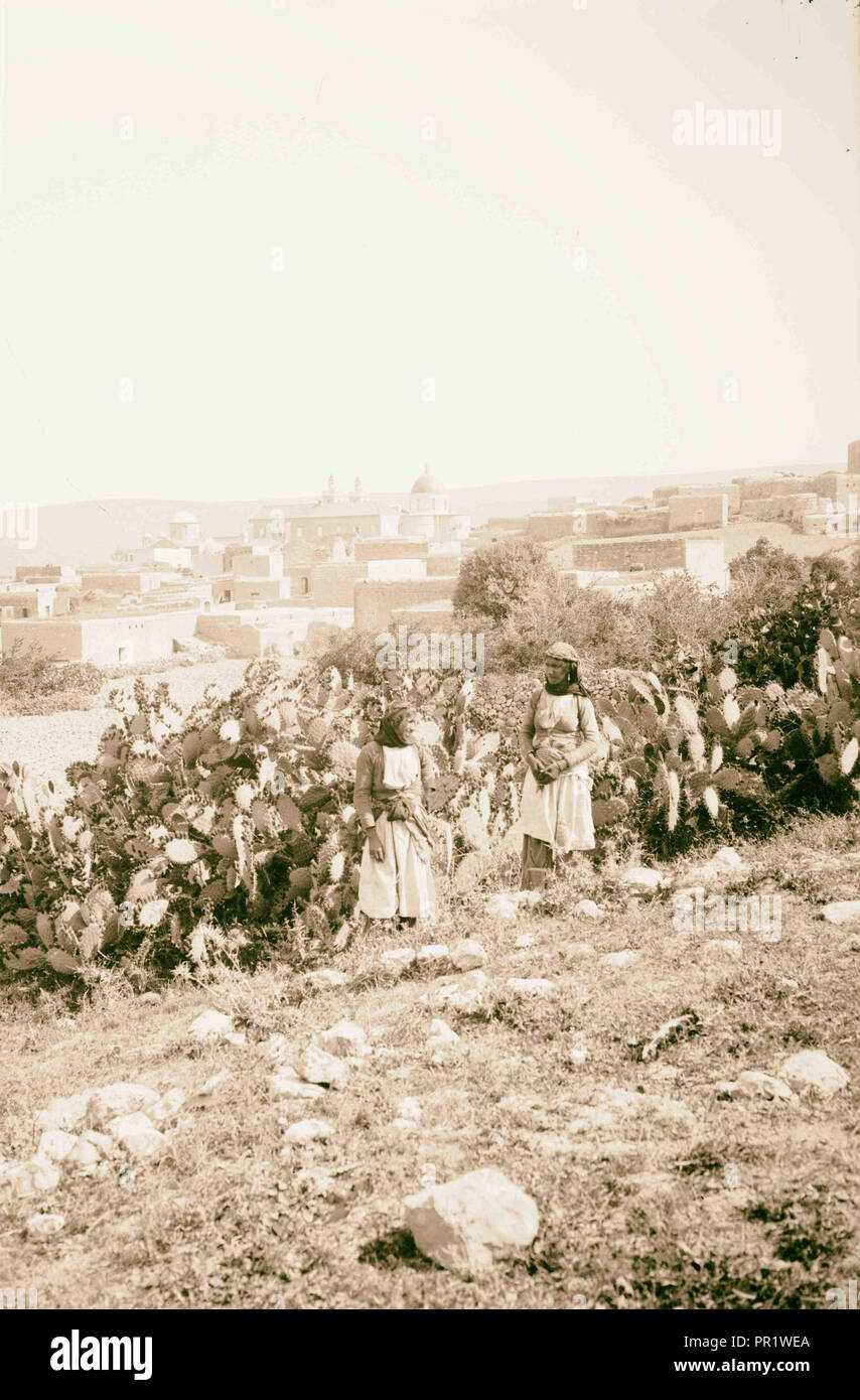 Kana in Galiläa. 1898, Israel, Kafr Kannā Stockfoto