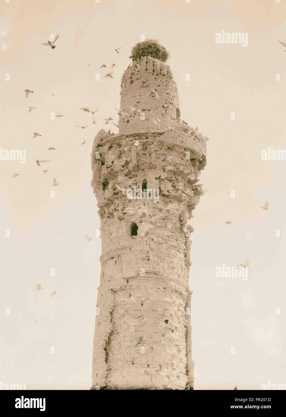 Kifl. Moslemische [i.e, Muslim] Minarett. Durch unzählige Tauben bewohnt und durch ein Storchennest gekrönt. 1932, Irak, al-Kifl, Al-Kifl Stockfoto