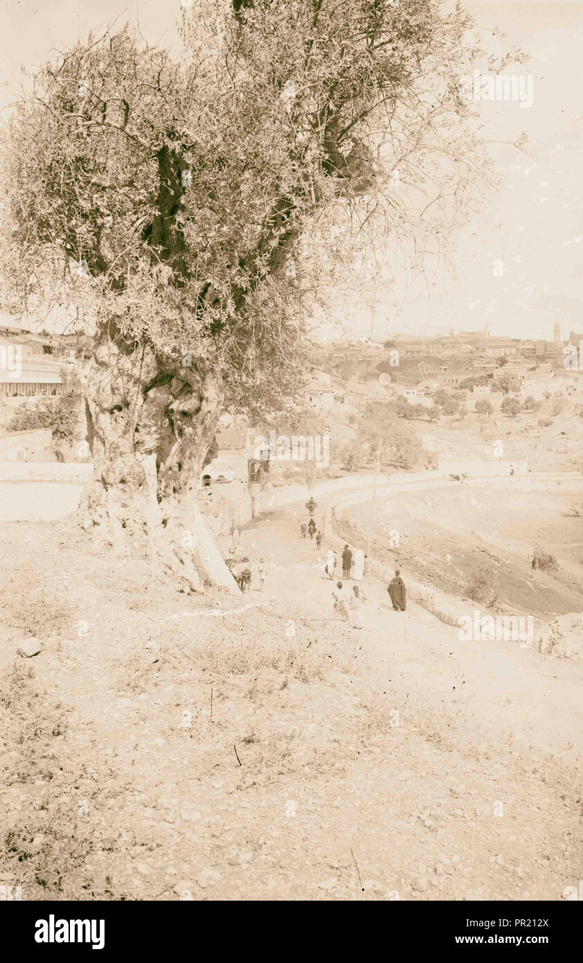 Jerusalem (El-Kouds), Konzept für die Stadt erste Blick auf Jerusalem aus dem Süden. 1900, Jerusalem, Israel Stockfoto