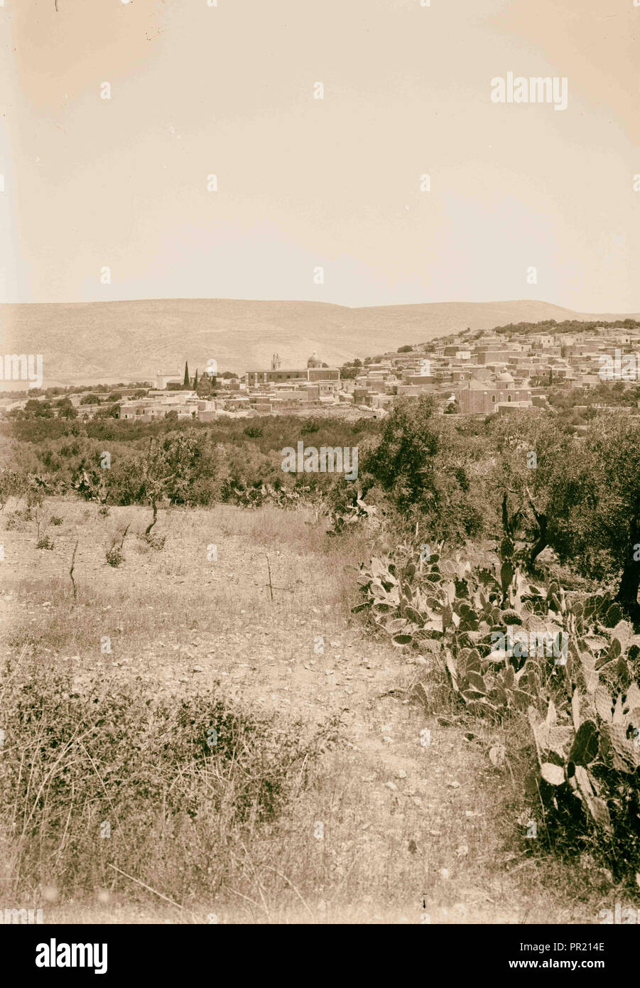Nördliche Aussicht. Kana in Galiläa. 1900, Israel, Kafr Kannā Stockfoto