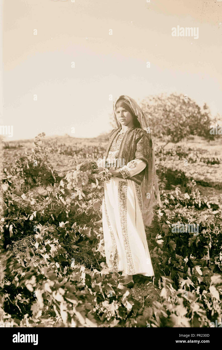 Ein Bauer Mädchen, dass eine Weintraube, Ain, in der Nähe von Taibye Yabrud, Mädchen mit Trauben in Ain Yabrud, in der Nähe von Taibye. 1937, West Bank Stockfoto