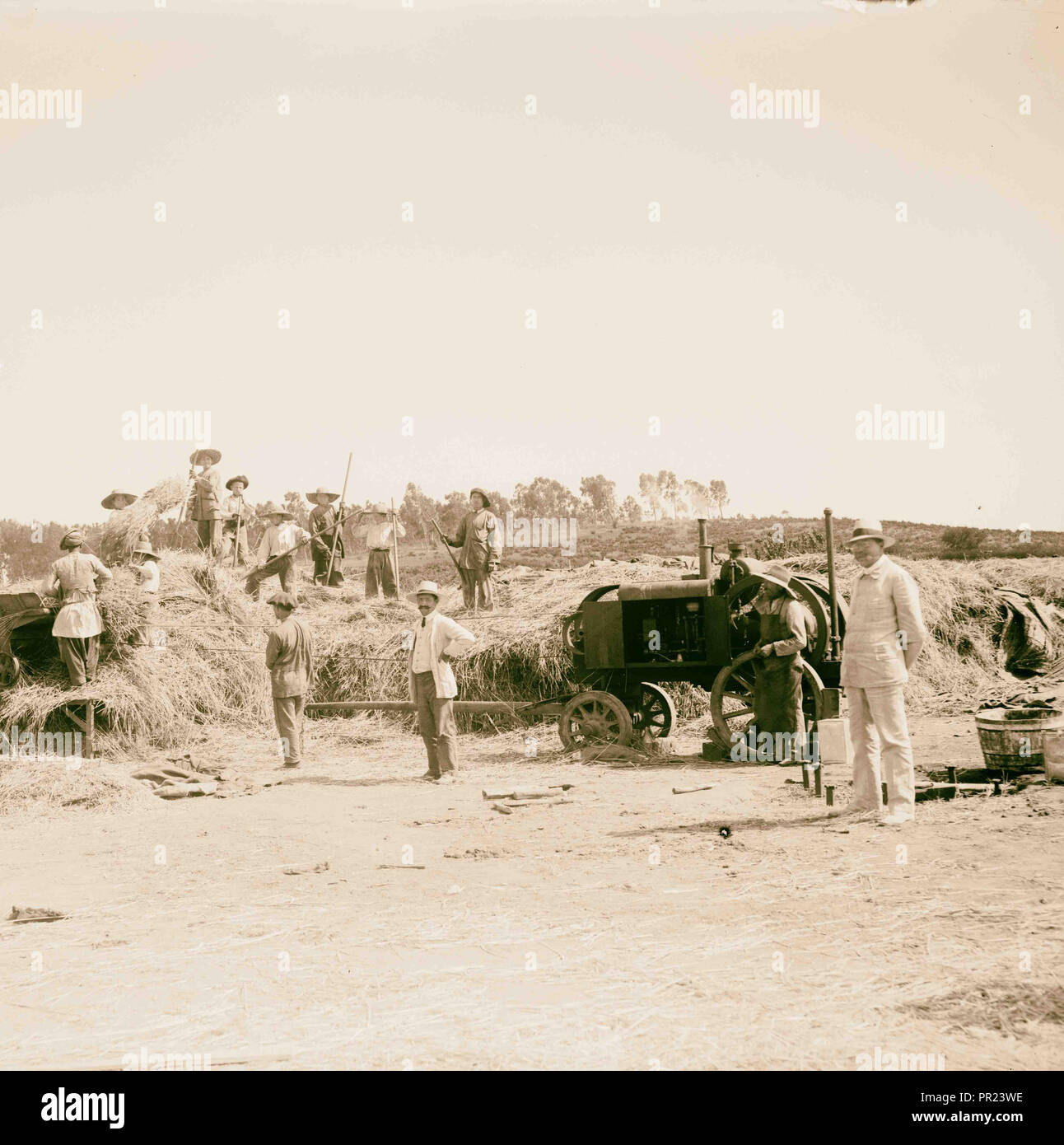 Die Ernte. Jüdische Kolonie. Foto zeigt möglicherweise Mikwe (Mikwe) Israel Landwirtschaftliche Schule. 1898, Israel Stockfoto